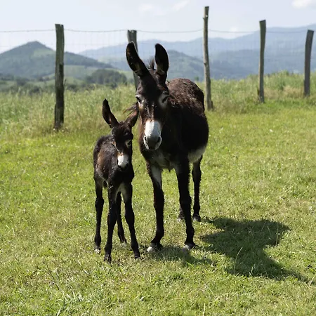Paorra Baserria Ξενοδοχείο Aia