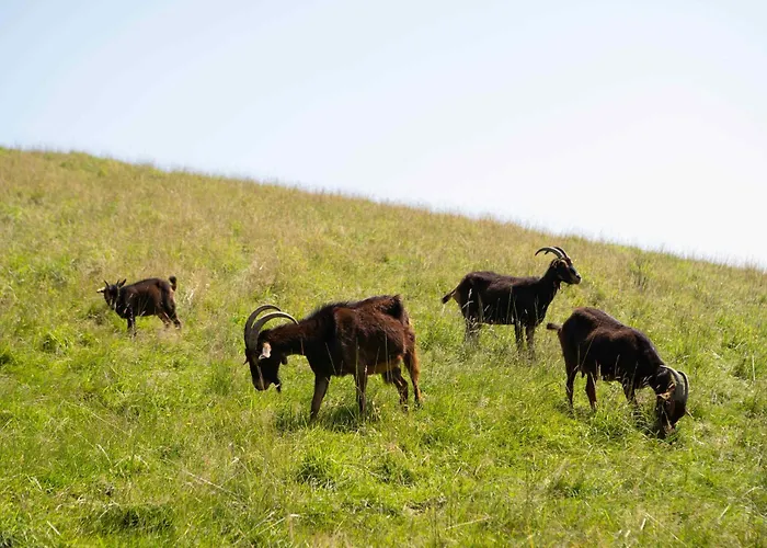 Отель Paorra Baserria