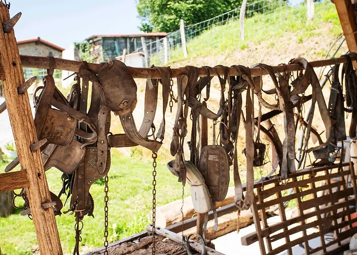 Paorra Baserria Отель *