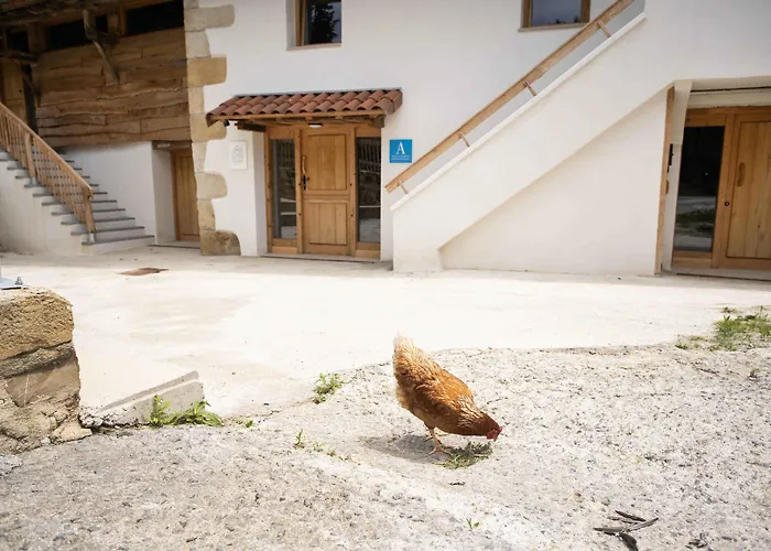 Отель Paorra Baserria