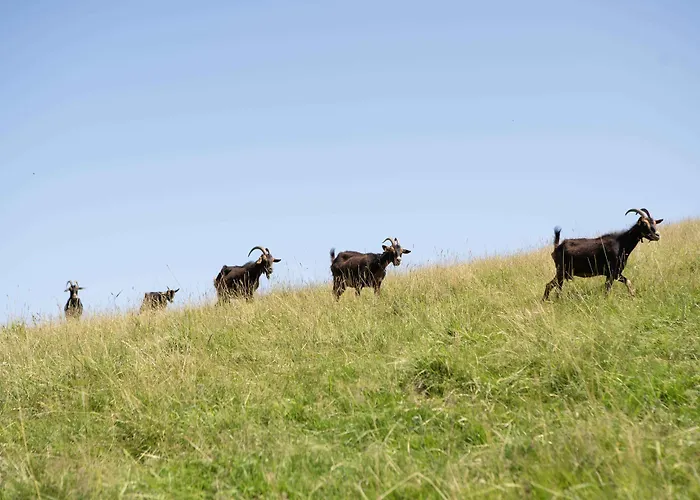 Paorra Baserria Отель Айя