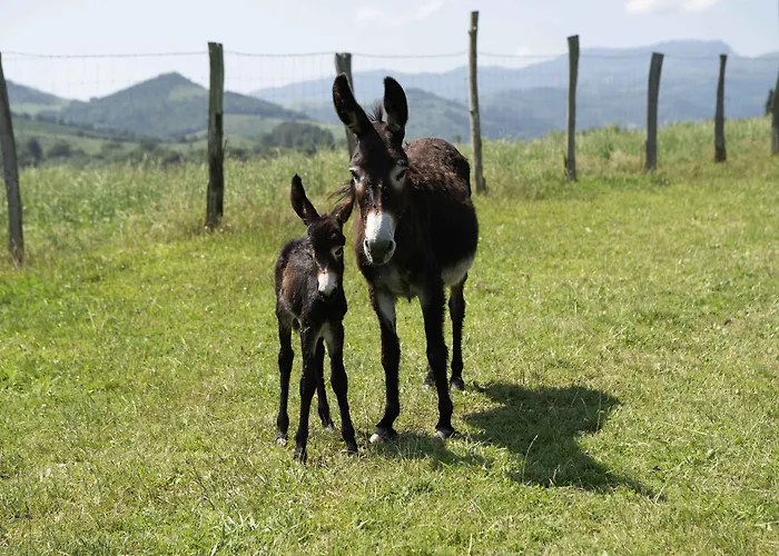 Paorra Baserria Отель Айя